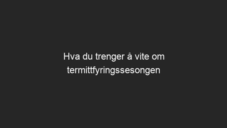 Hva du trenger å vite om termittfyringssesongen